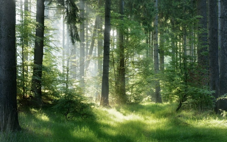 Zbiórka Kaucja do mieszkania - zdjęcie główne