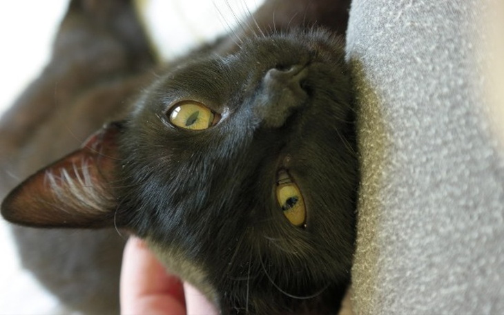 Zbiórka Czy zasługuje na normalność? - zdjęcie główne