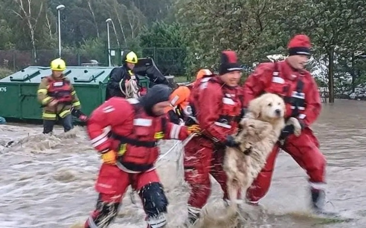 Zbiórka Zbiórka dla powodzian pomóżmy - zdjęcie główne