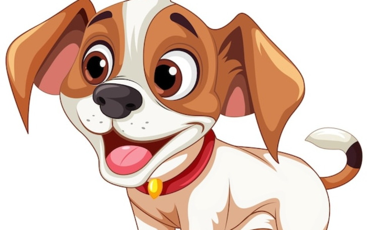 Zbiórka Na wynajem mieszkania z kaucją - zdjęcie główne