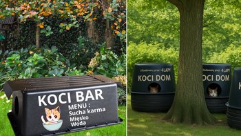 Zbiórka Domki i stołówki dla kotów - miniaturka zdjęcia