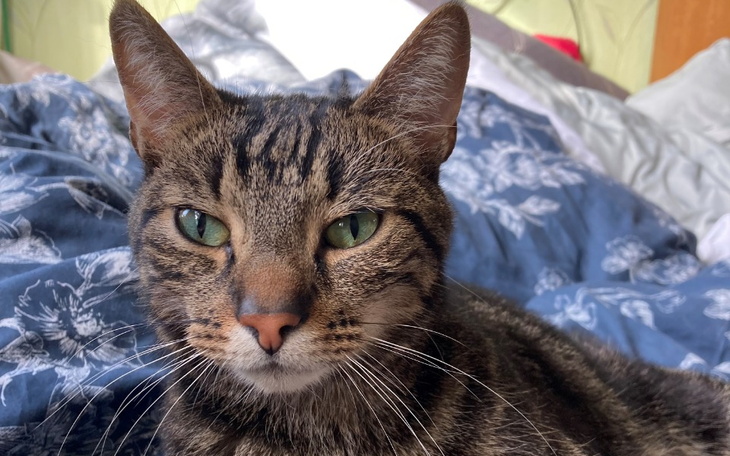 Młoda dziewczyna na wózku ręcznym, aktywnie spędzająca czas.