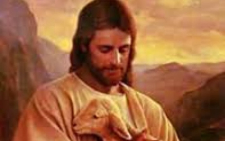 Zbiórka Pomoc dla P. Zofii - zdjęcie główne