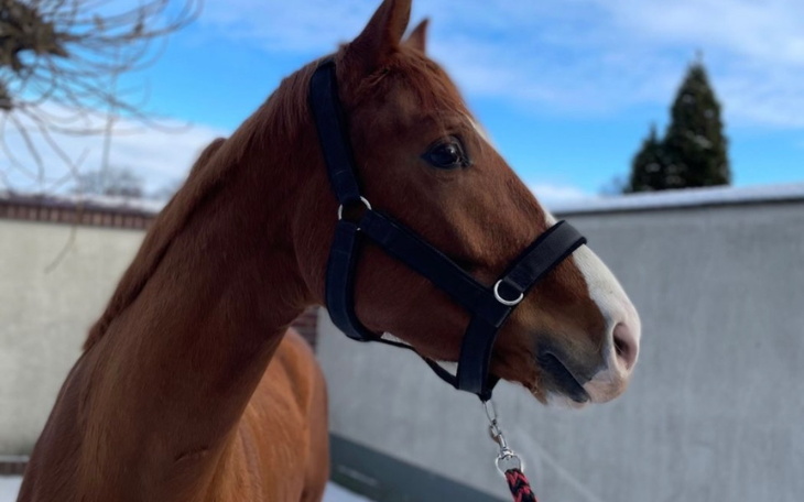 Zbiórka zbiórka na moje marzenia - zdjęcie główne