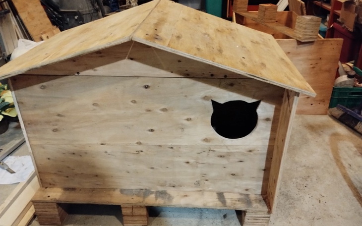 Zbiórka budki dla kotow w Tychach - zdjęcie główne