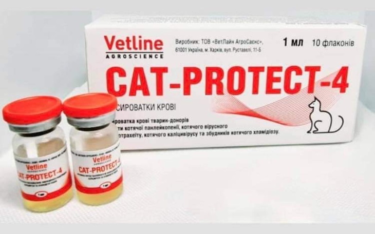 Zbiórka SurowicaDlaKociakówSOS - zdjęcie główne