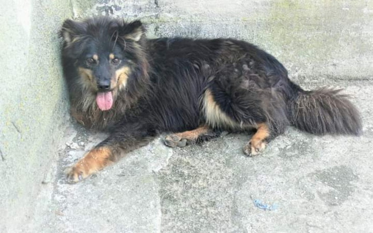 Zbiórka Na transport dla Krzysia - zdjęcie główne