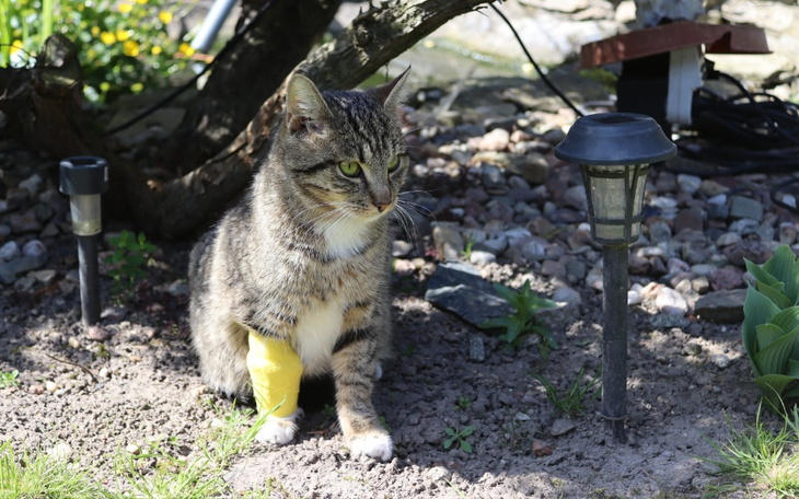 Zbiórka Wartość życia - ile jest warte - zdjęcie główne