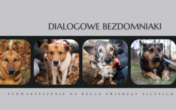 Plakat z psami, promujący pomoc dla bezdomnych zwierząt.