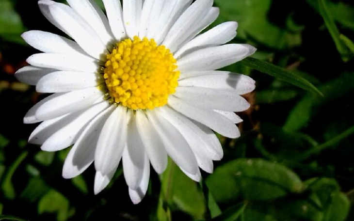 Zbiórka Dla Grześka - zdjęcie główne