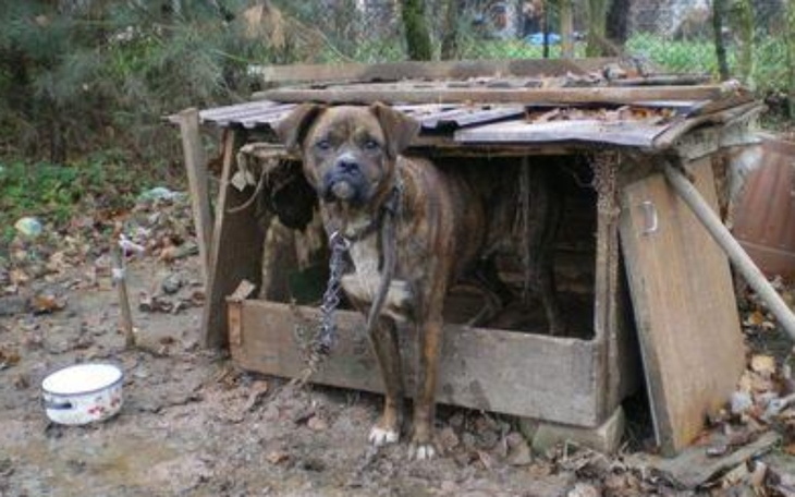 Zbiórka Często nie mają co jeść... - zdjęcie główne