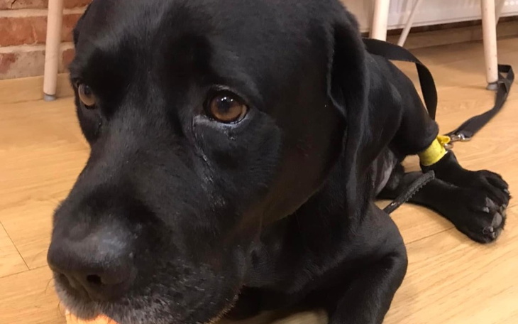 Zbiórka Leczenie mojego Dagusia - zdjęcie główne