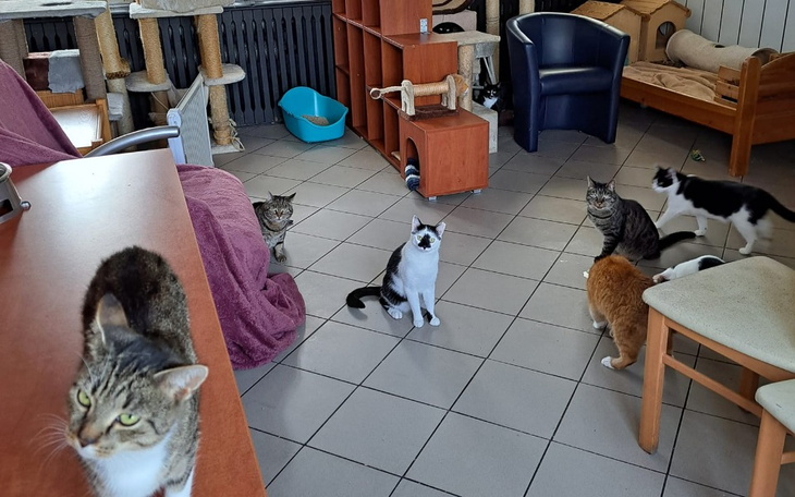 Zbiórka Szansa na dom. - zdjęcie główne