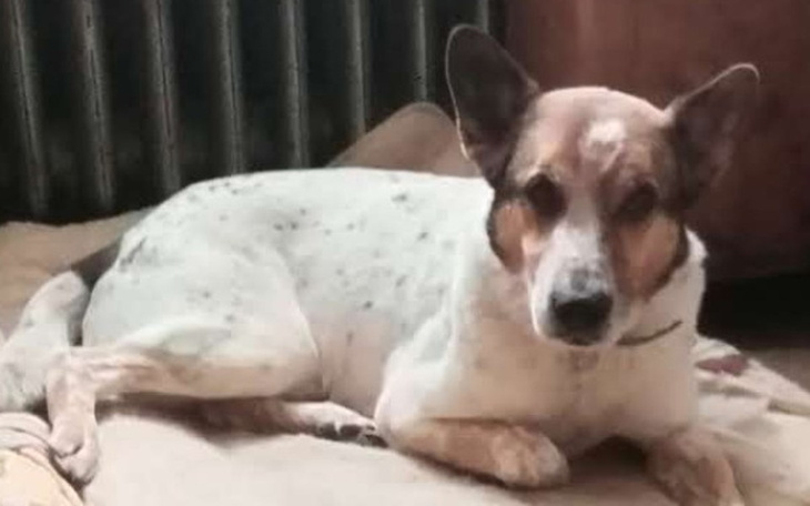 Zbiórka Wycięcie guza u Chaberka - zdjęcie główne