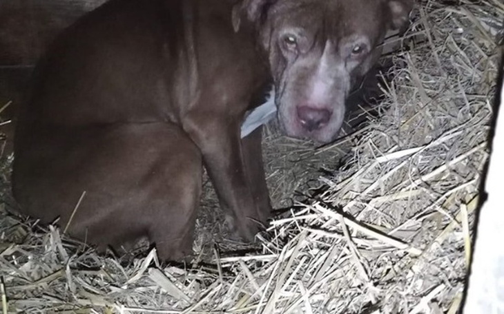 Zbiórka 14-letni Hugo. Z kanapy do budy. - zdjęcie główne