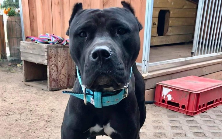 Zbiórka Porzucony Gabryś. - zdjęcie główne