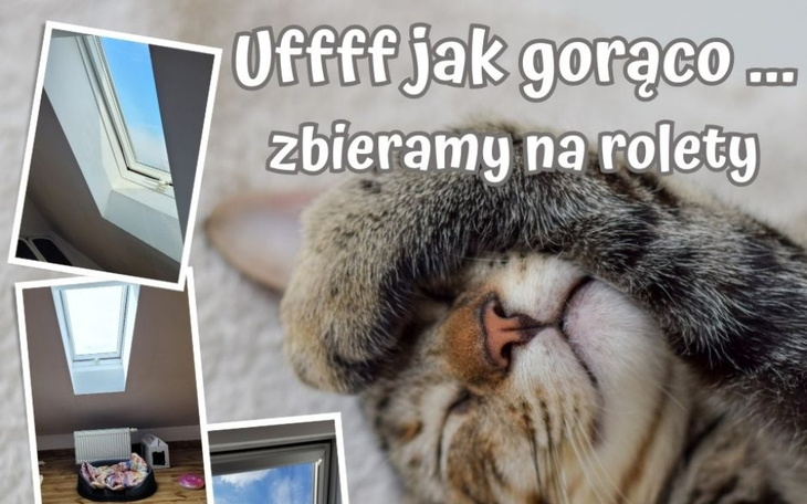 Zbiórka Rolety- bo słońce potrafi dopiec - zdjęcie główne