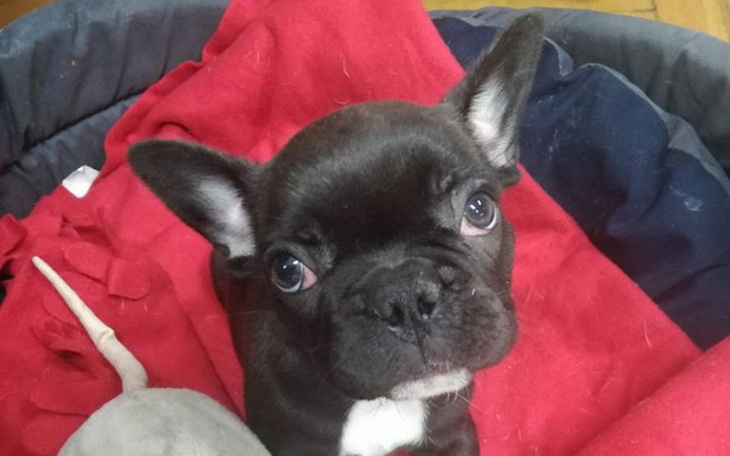 Zbiórka Hugo, co tam w głowie siedzi? - zdjęcie główne