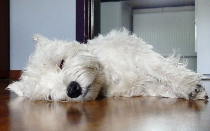 Zbiórka Własne eM - zdjęcie główne