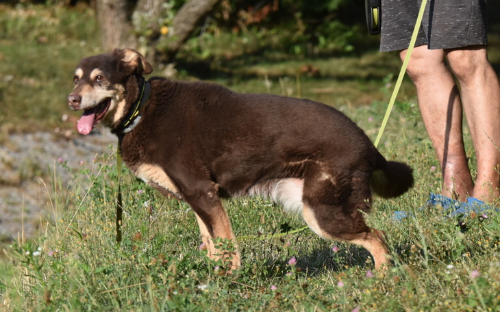 Zbiórka Hotelik Xsary w sierpniu - zdjęcie główne