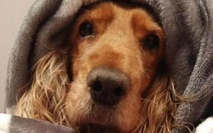 Zbiórka Usunięcie ząbków u mojej chanell - zdjęcie główne