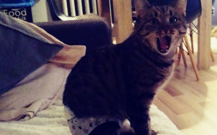 Zbiórka Profilaktyka Lei - zdjęcie główne