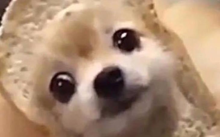 Zbiórka ZBIERAM OFFY xd - zdjęcie główne