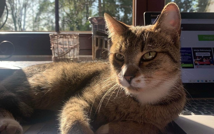 Zbiórka Na leczenie dla Tyriona - zdjęcie główne