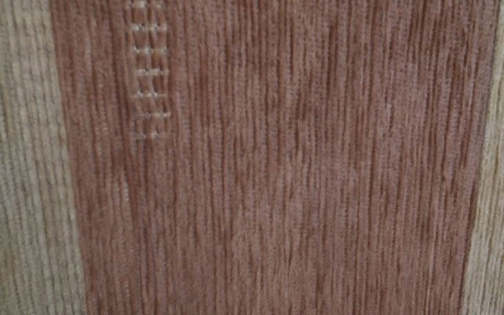 Zbiórka Na opłaty za mieszkanie dla Dami - zdjęcie główne