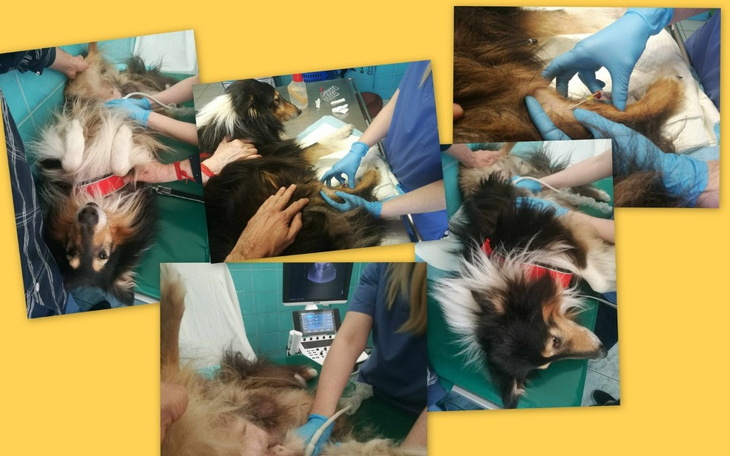 Zbiórka Na codzienność w Psikątku - zdjęcie główne