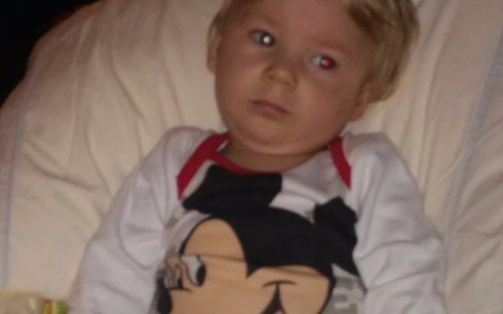 Zbiórka na leczenie i pionizator - zdjęcie główne