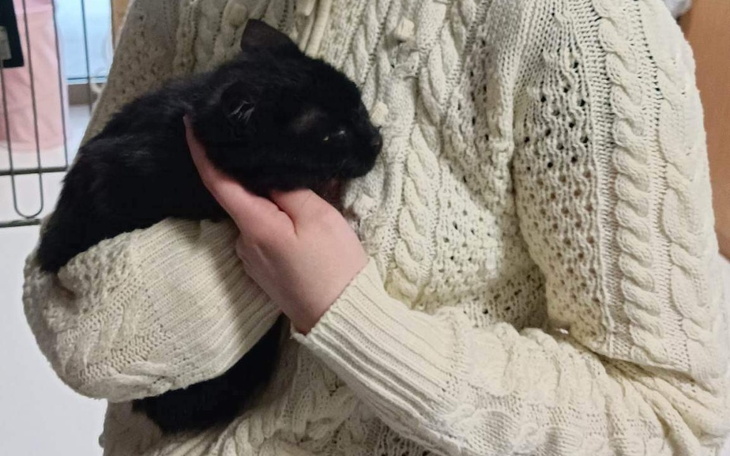 Zbiórka Ból i jeszcze raz ból - zdjęcie główne