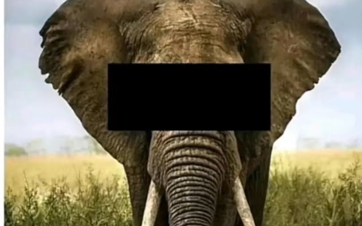 Zbiórka Internet dla mnie - zdjęcie główne