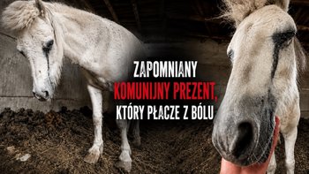 Zbiórka Zapomniany prezent komunijny - miniaturka zdjęcia