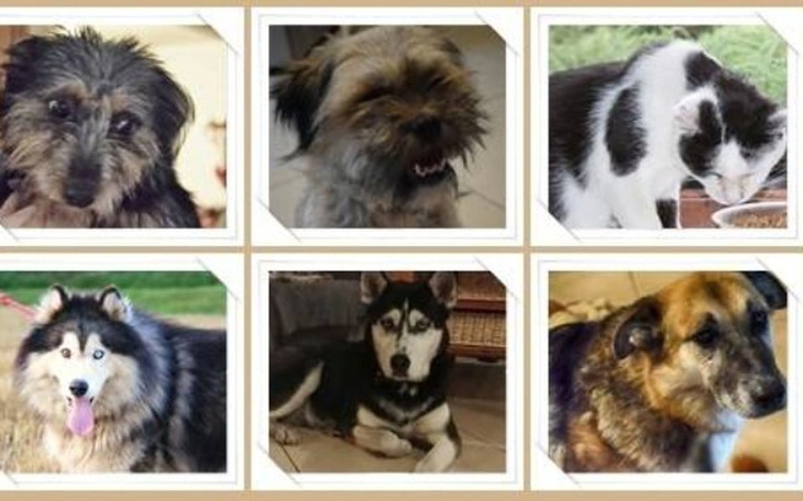 Zbiórka zbieramy na BUDĘ !! POMOŻESZ? - zdjęcie główne