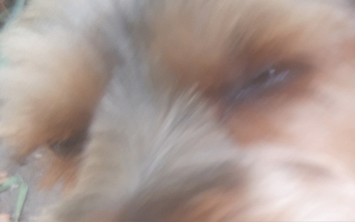 Zbiórka Na wakacje  nad morze - zdjęcie główne