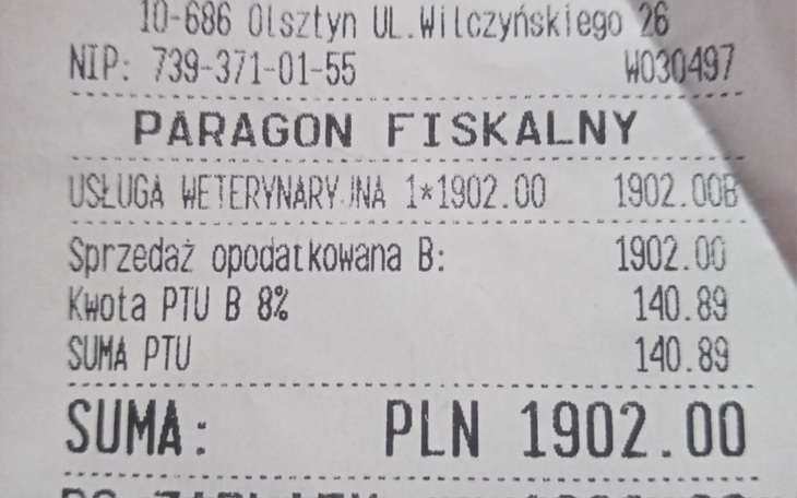 Zbiórka Zbiorka na leczenie zębów psa - zdjęcie główne