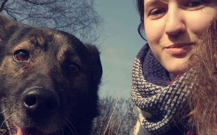 Zbiórka Karmy dla psów i kotów - zdjęcie główne