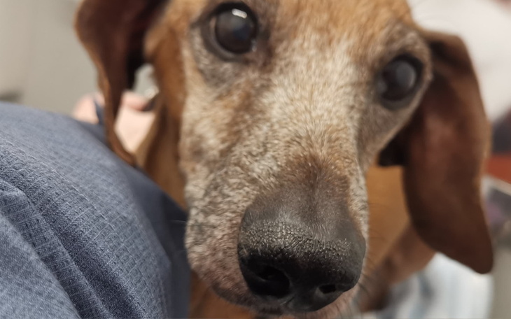 Zbiórka Albert - walka o wszystko - zdjęcie główne