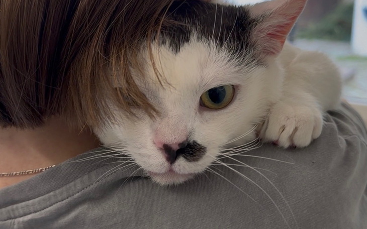 Kot leżący na ramieniu osoby, z wyrazem zadowolenia.