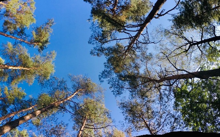 Zbiórka Nasz Dom - spełnienie marzeń - zdjęcie główne