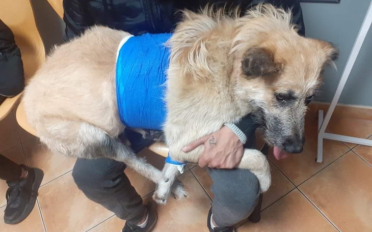 Zbiórka Operacja mlodej Luny - zdjęcie główne