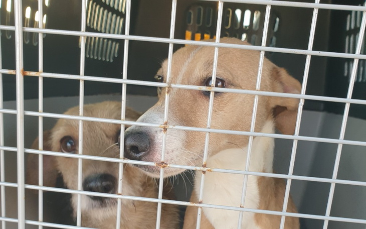 Zbiórka Wyrwane z biedy. Profilaktykaka - zdjęcie główne