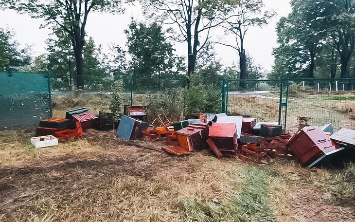 Zniszczone meble i przedmioty porozrzucane w terenie.