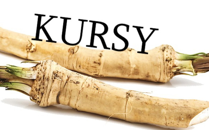 Korzeń chrzanu z napisem 'KURSY'.