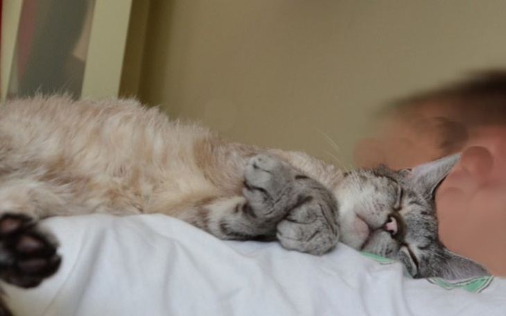 Zbiórka Operacja Miśka - zdjęcie główne