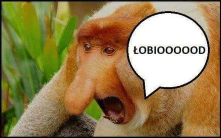 Zbiórka Na Kebsika - zdjęcie główne