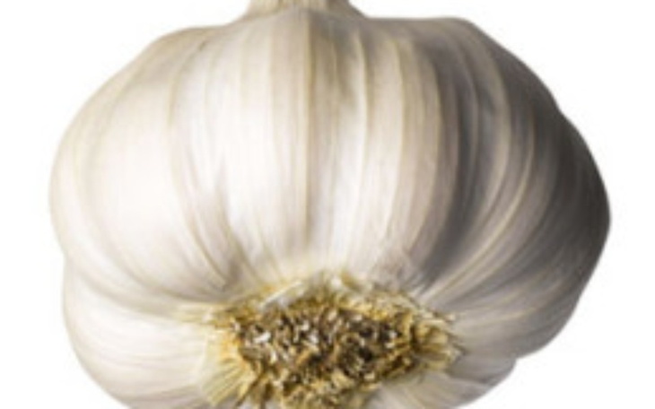 Zbiórka Maciej sztos potrzebuje mikrofon - zdjęcie główne