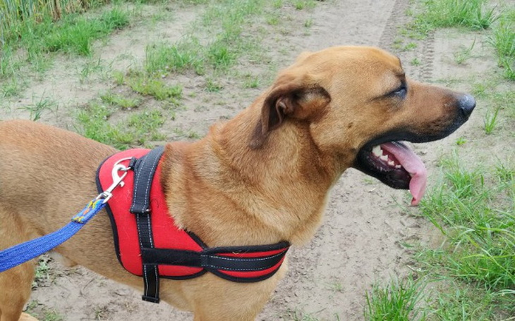 Zbiórka Wyposażenie punktu w Lnianie - zdjęcie główne