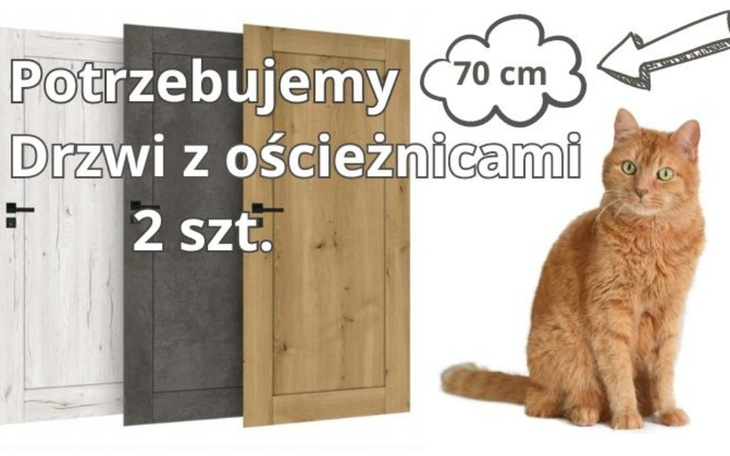 Zbiórka Potrzebujemy drzwi do kociarni.. - zdjęcie główne